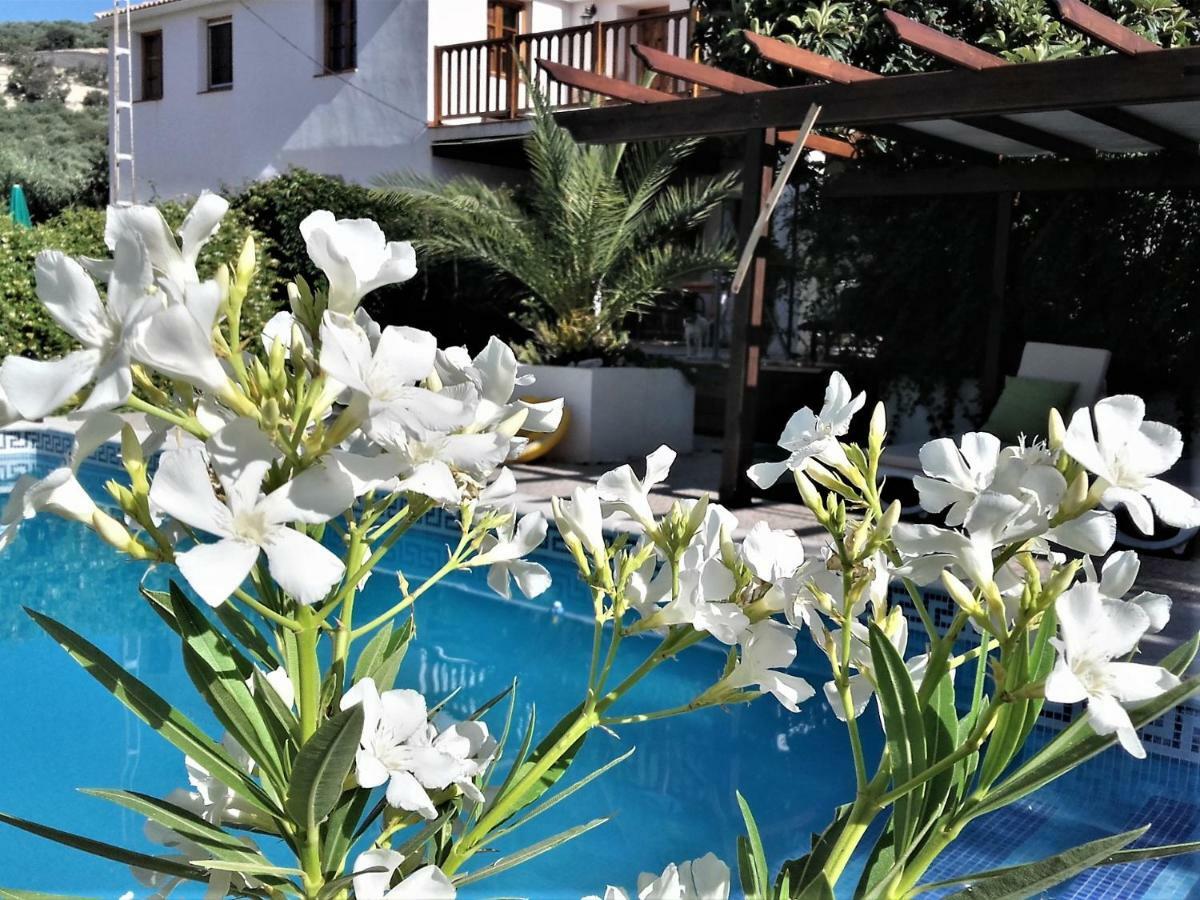 Cortijo Berruguilla Βίλα Lojilla Εξωτερικό φωτογραφία
